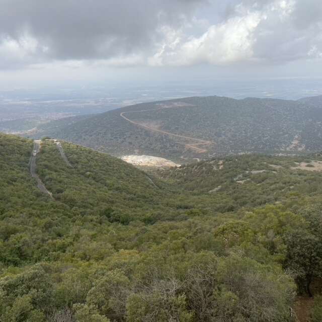 BC1D568E-F28D-42C5-8875-7CFF721E8B14_1_105_c